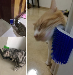 Cat Self Groomer Brush With Catnip
