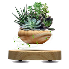Magnetic Levitating Plant Pot